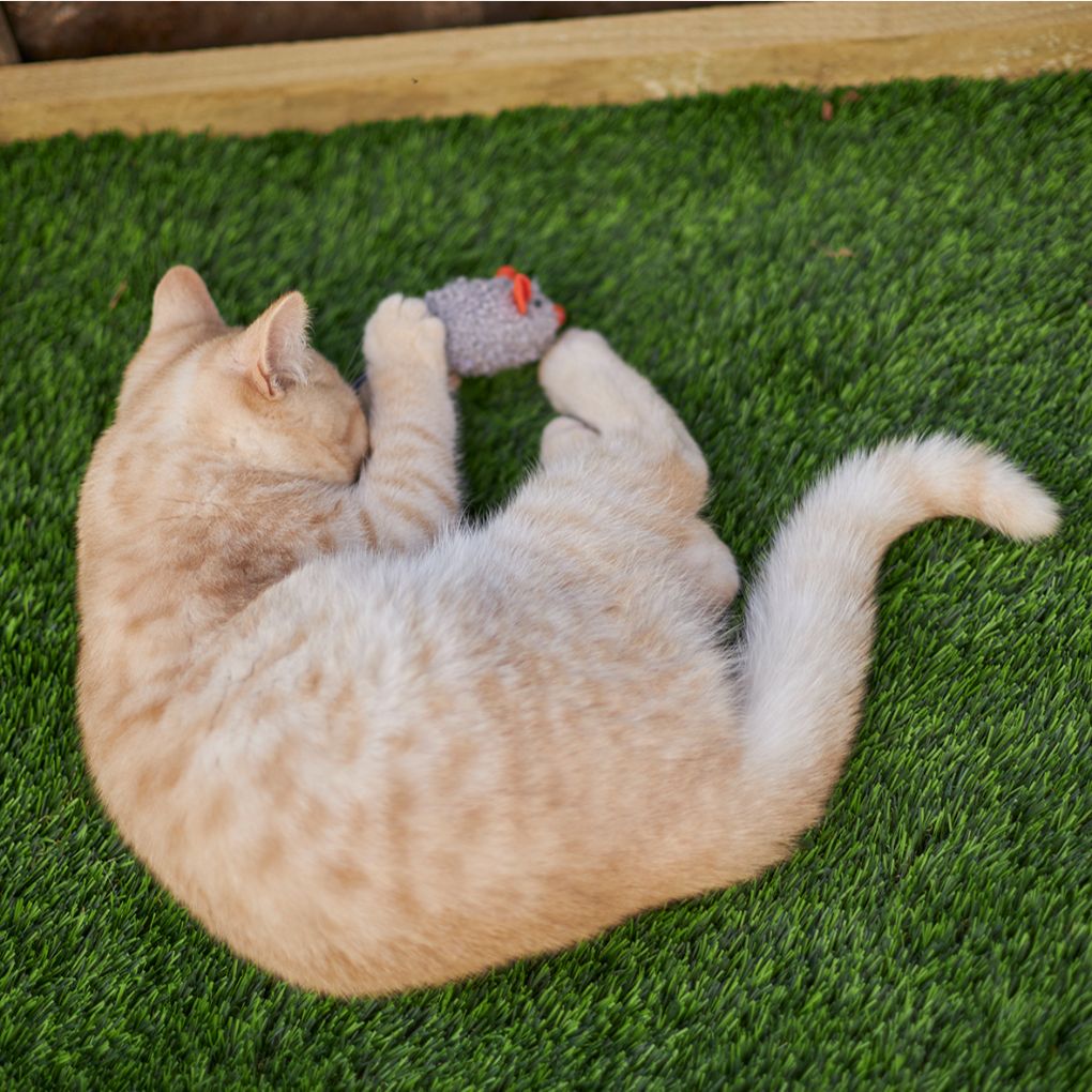 Kazoo Thrice the Mice Cat Toy - RSPCA VIC