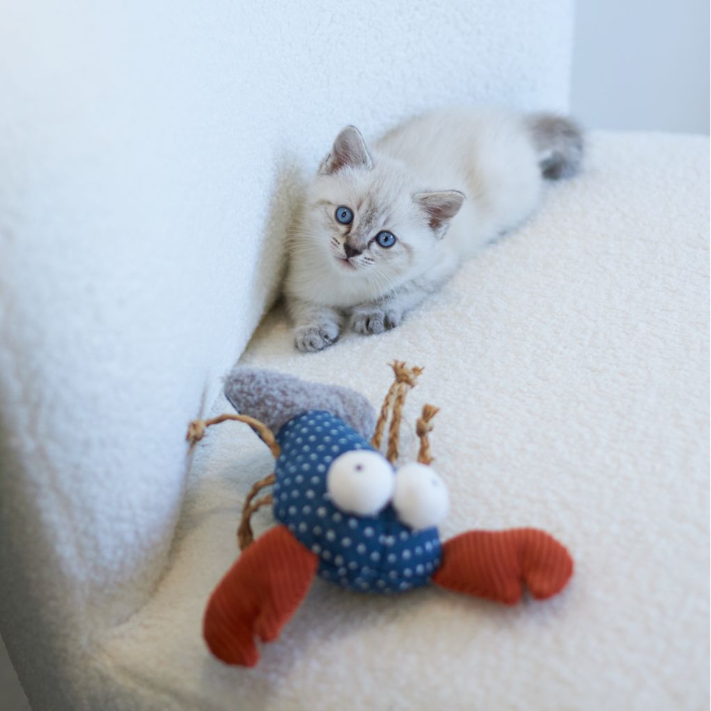 Kazoo Snappy Lobster Cat Toy - RSPCA VIC