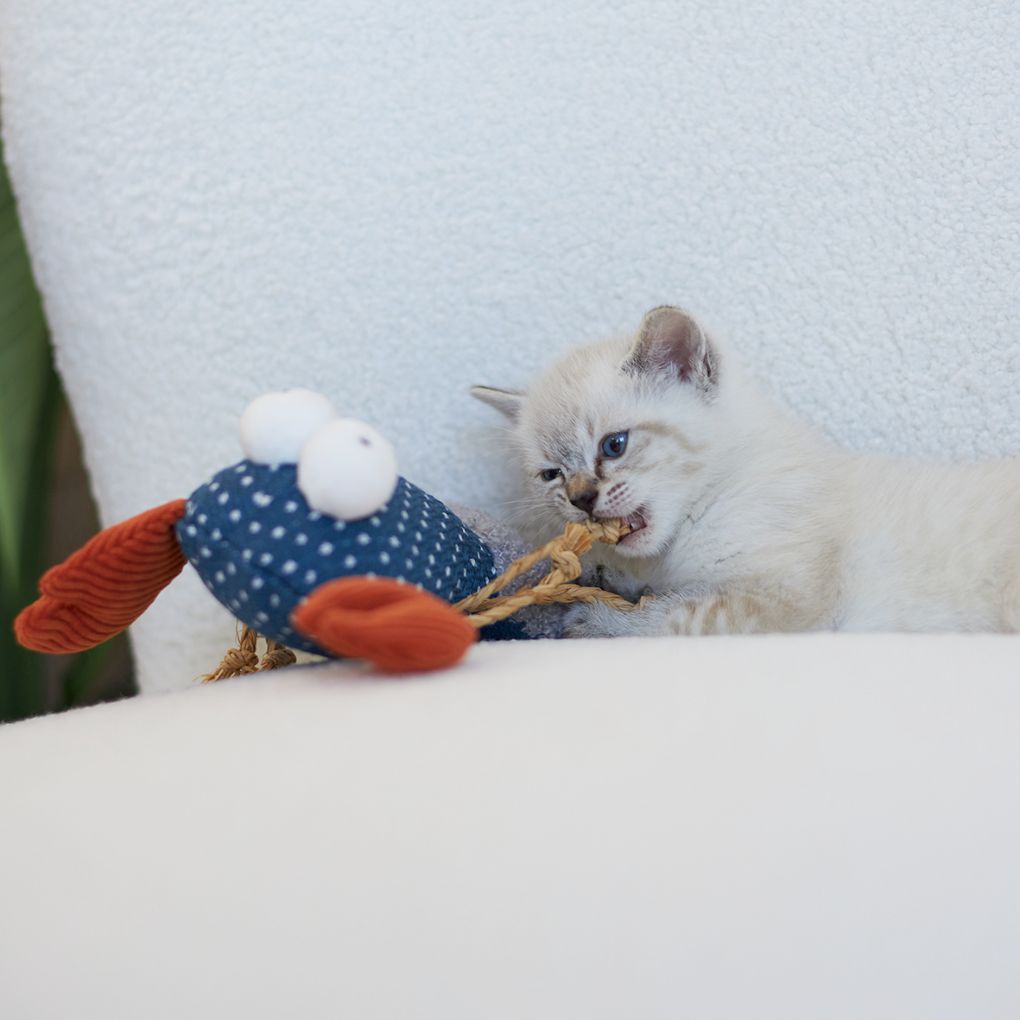Kazoo Snappy Lobster Cat Toy RSPCA VIC