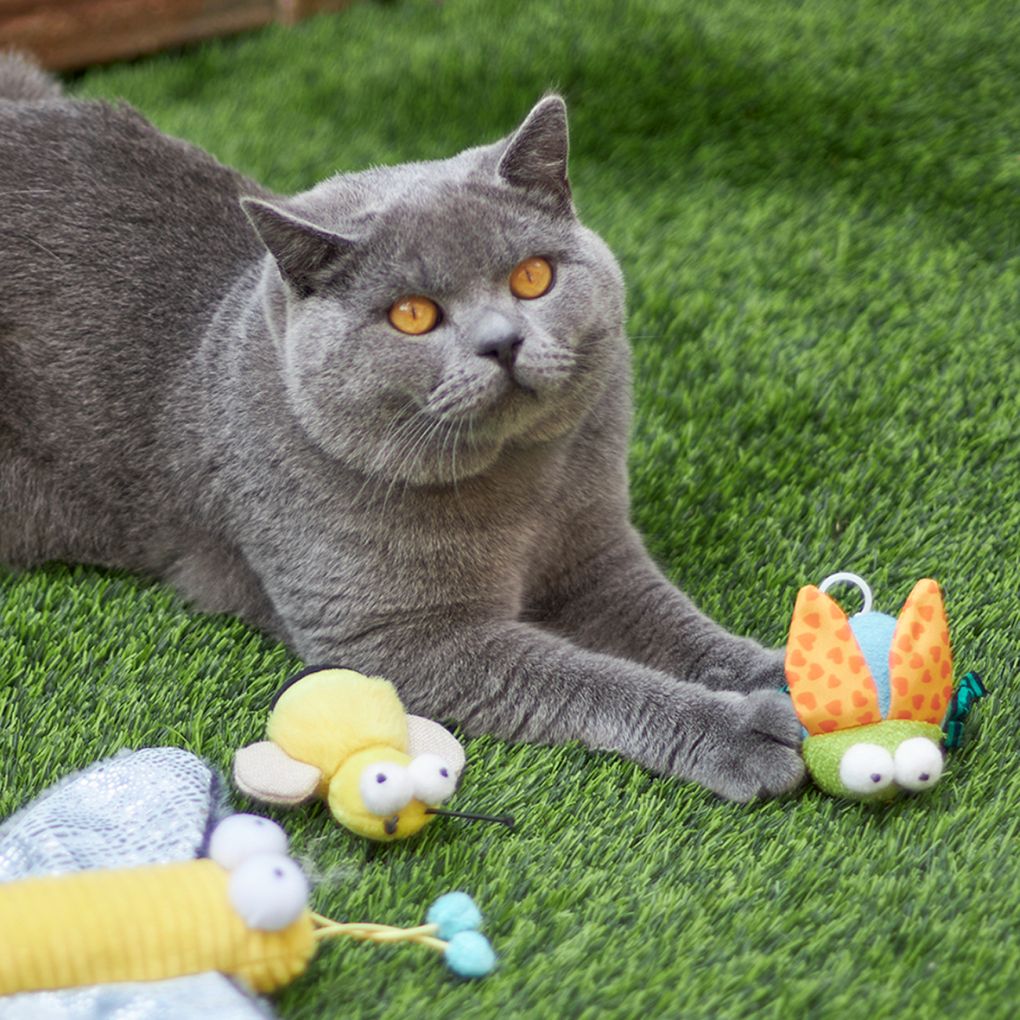 Kazoo Buzzing Bug Cat Toy - RSPCA VIC