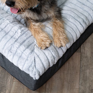 Kazoo Cloud Comfort Bed Grey Corner Lifestyle Image  - close up of dogs paws on the soft bed