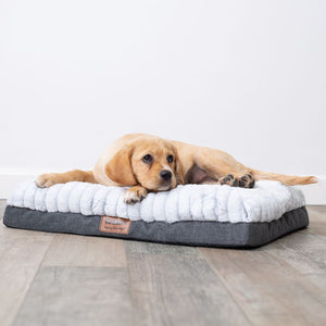 Kazoo Cloud Comfort Bed Grey - Labrador Puppy laying on the comfort bed