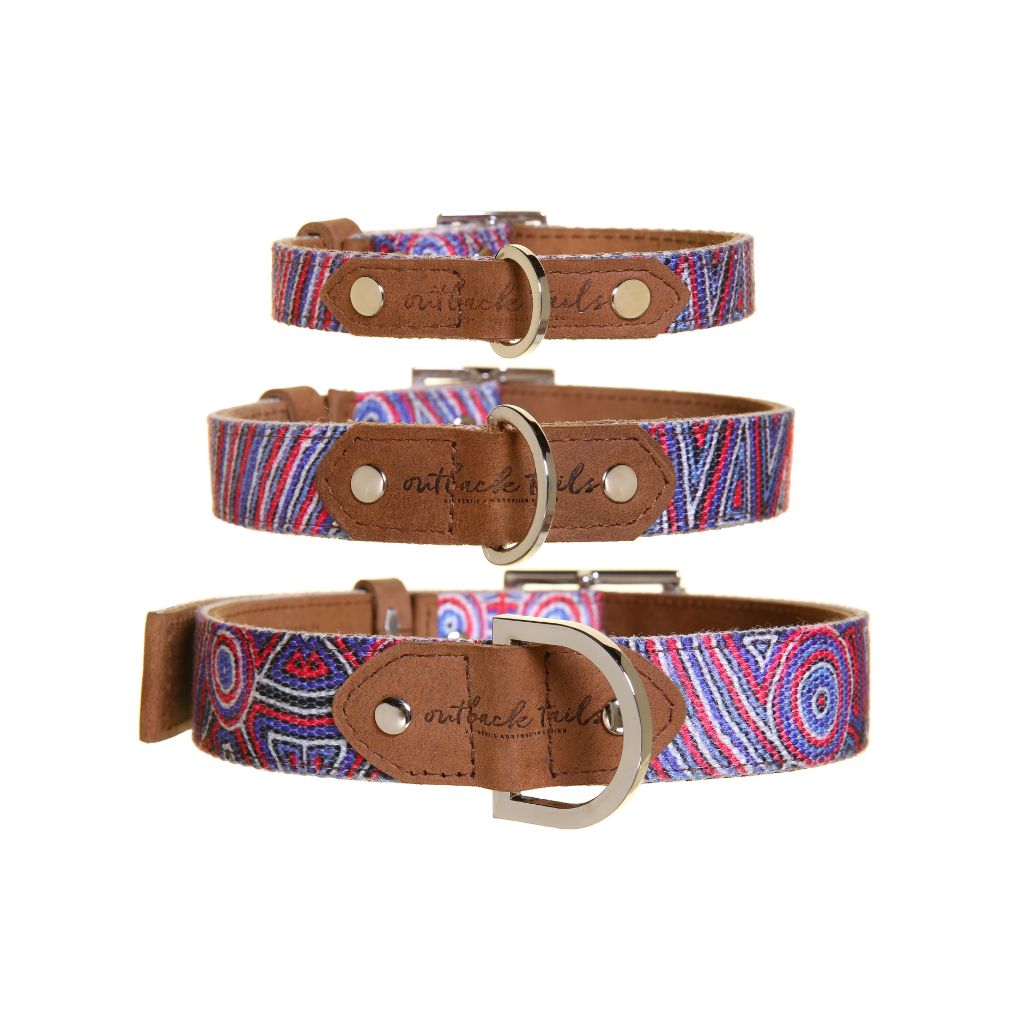 Outback Tails Leather Dog Collar Digging for Truffles - RSPCA VIC