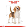 Royal Canin Beagle Adult - RSPCA VIC