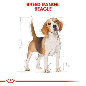 Royal Canin Beagle Adult - RSPCA VIC