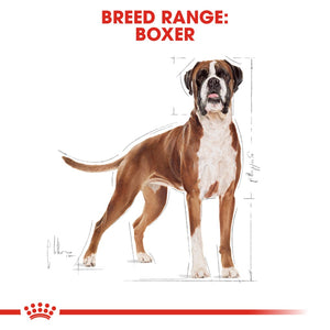 Royal Canin Boxer Adult 12kg - RSPCA VIC