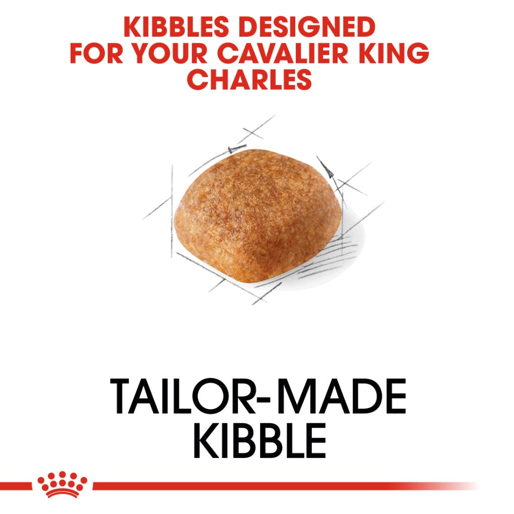 Royal Canin Cavalier King Charles Adult - RSPCA VIC