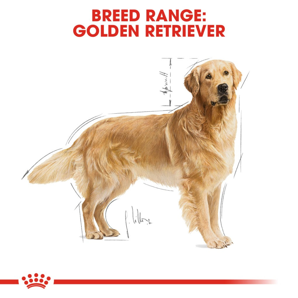 Royal Canin Golden Retriever Adult 12kg - RSPCA VIC