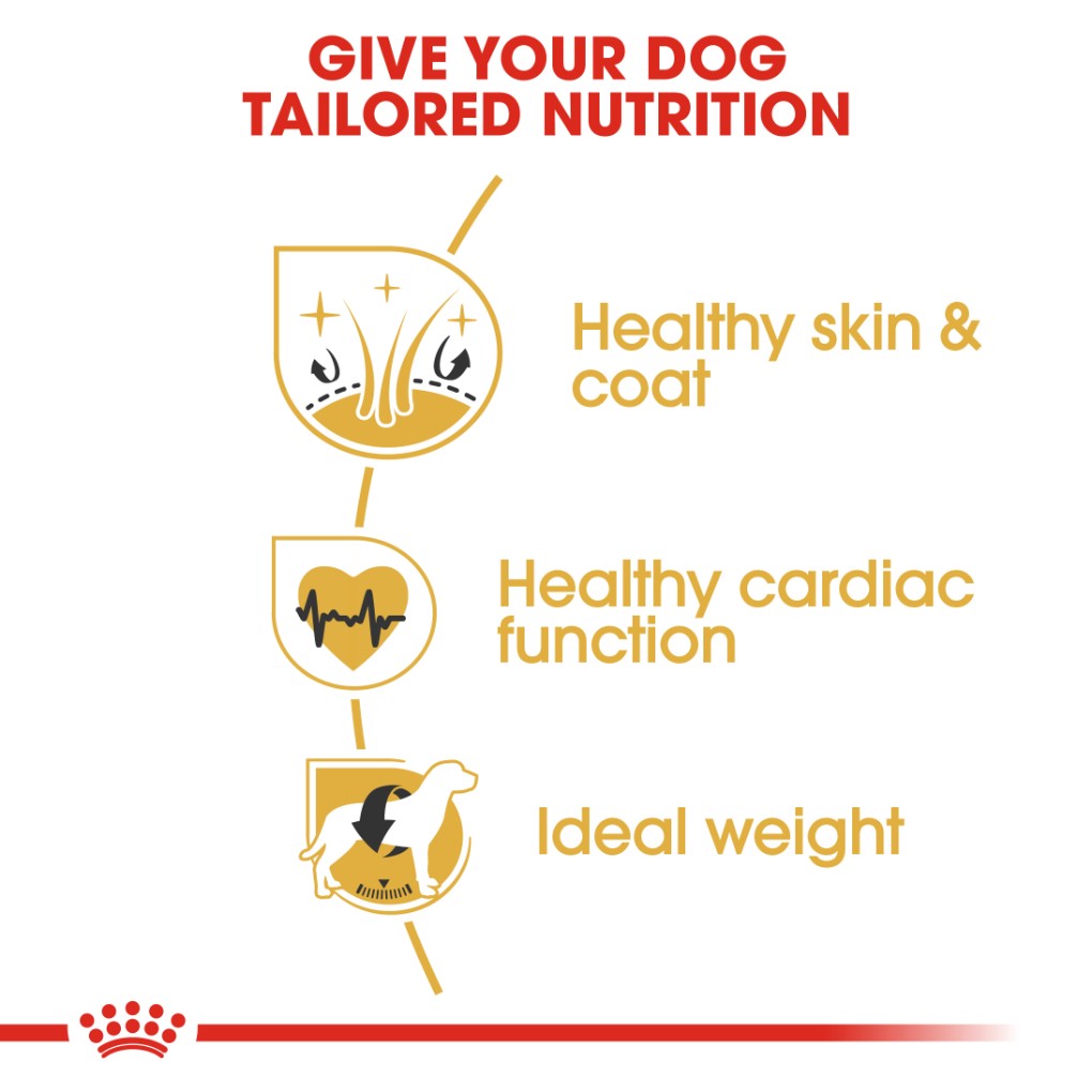 Royal Canin Golden Retriever Adult 12kg - RSPCA VIC