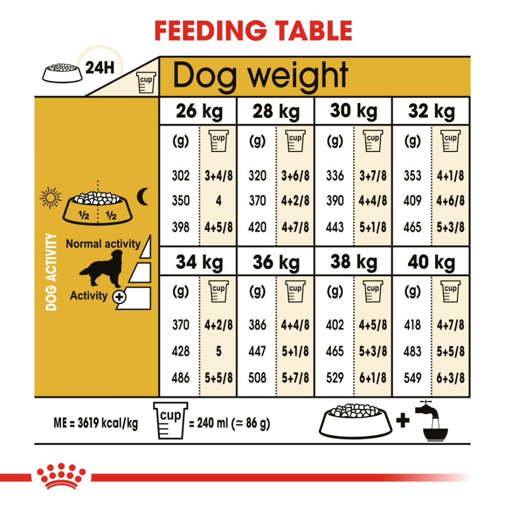 BHN Golden Retriever Ad 12kg : : Pet Supplies