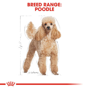 Royal Canin Poodle Adult - RSPCA VIC