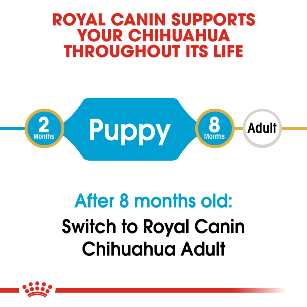 Royal Canin Chihuahua Puppy 1.5kg - RSPCA VIC