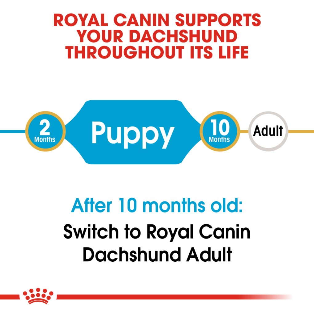 Royal Canin Dachshund Puppy 1.5kg - RSPCA VIC