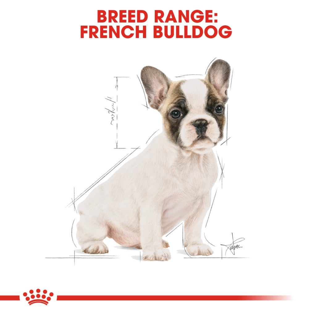 Royal canin french store bulldog puppy 3kg