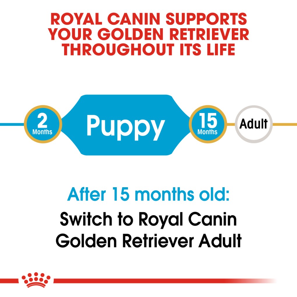 Royal Canin Golden Retriever Puppy 12kg - RSPCA VIC