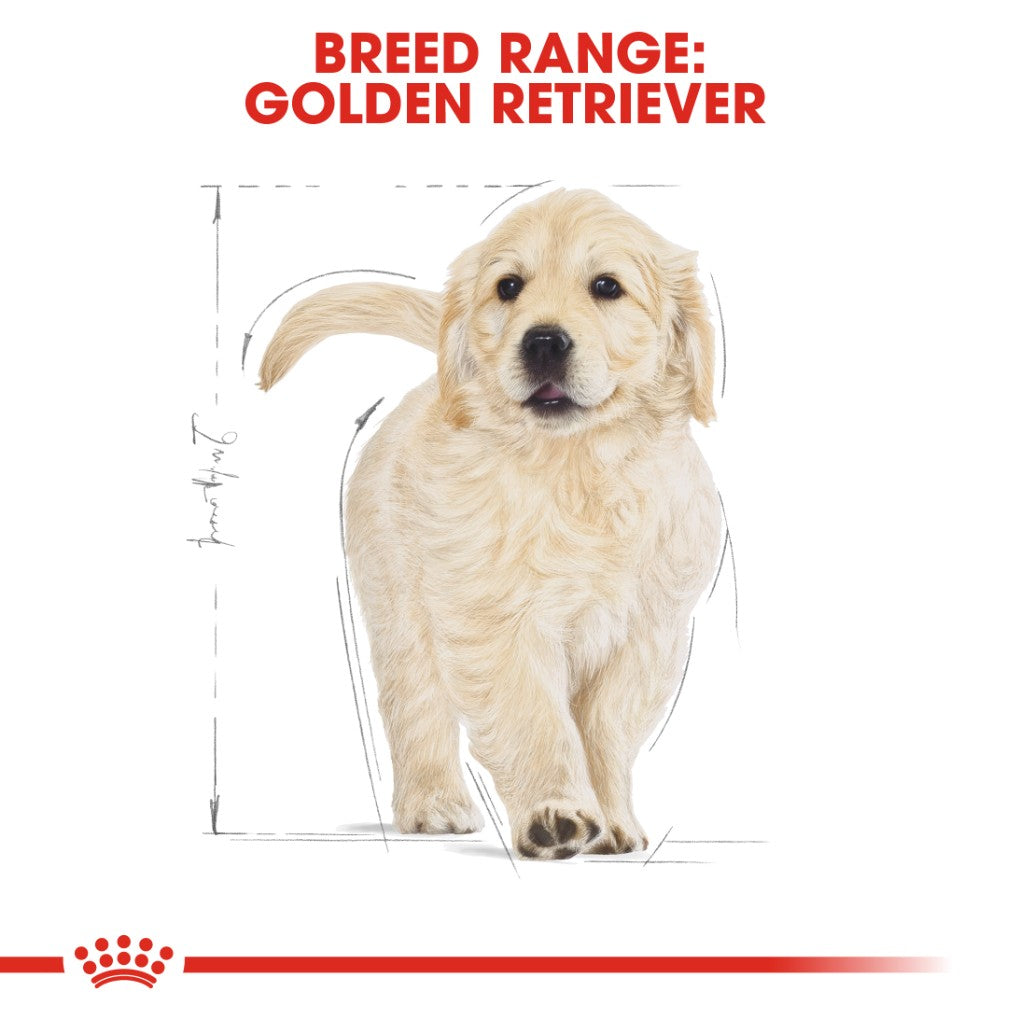 Royal canin breed clearance golden retriever junior