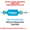 Royal Canin Pug Puppy 1.5kg - RSPCA VIC