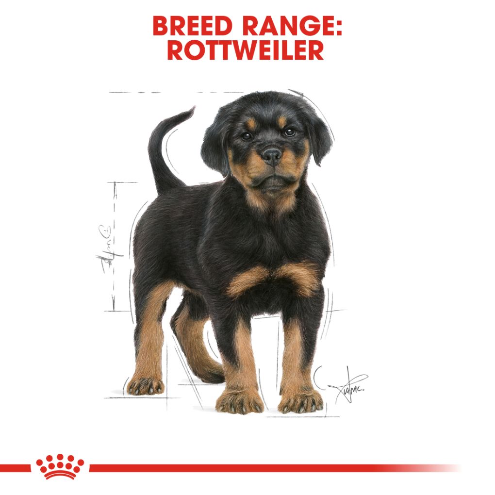 Royal Canin Rottweiler Puppy 12kg - RSPCA VIC