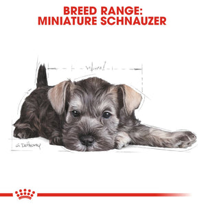Royal Canin Miniature Schnauzer Puppy 1.5kg - RSPCA VIC