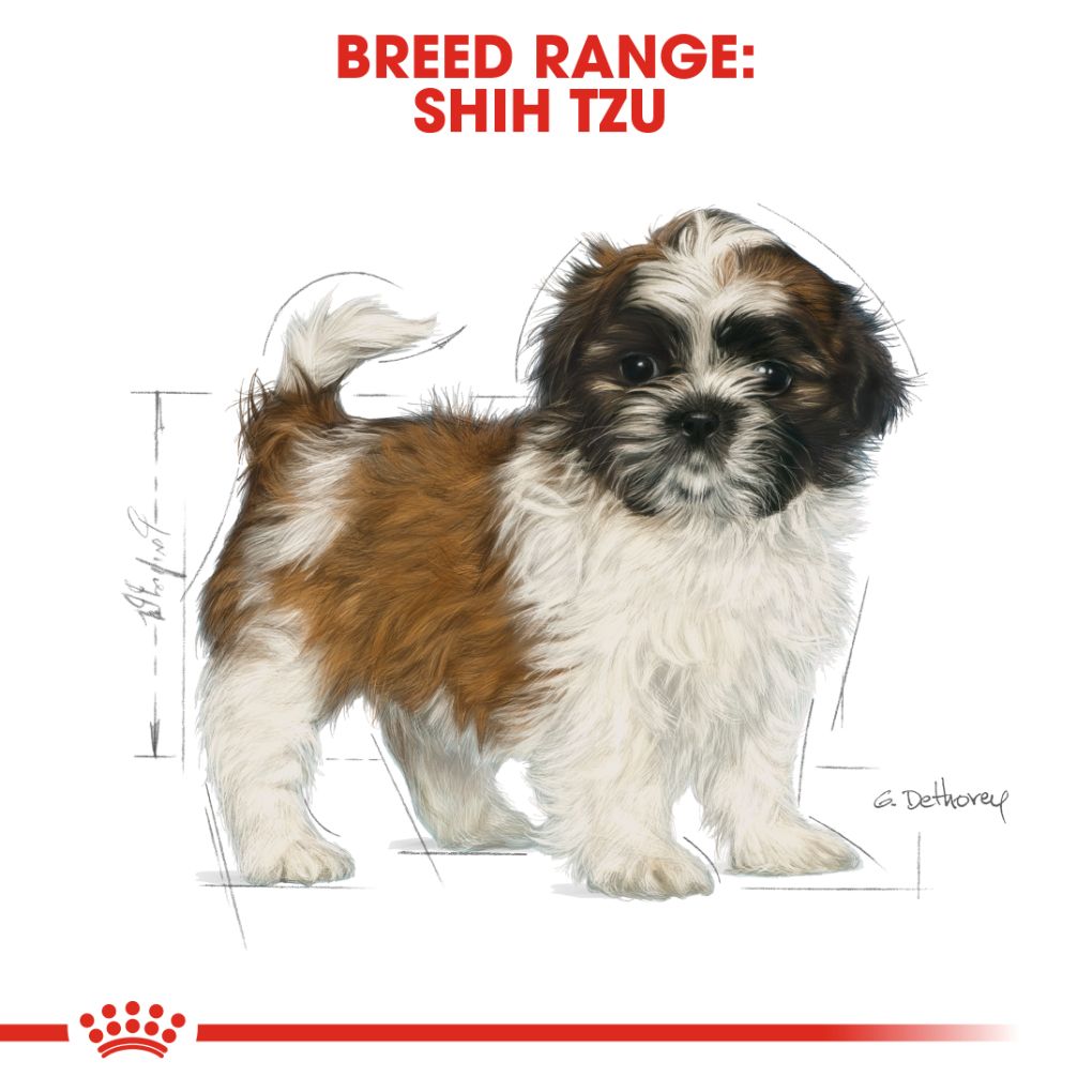 Royal Canin Shih Tzu Puppy 1.5kg - RSPCA VIC