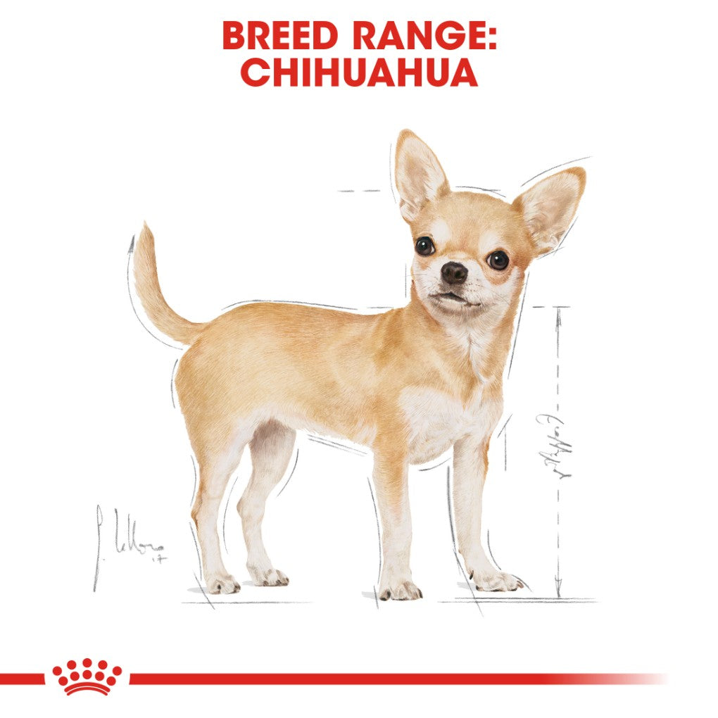 Royal Canin Chihuahua Pouches - RSPCA VIC