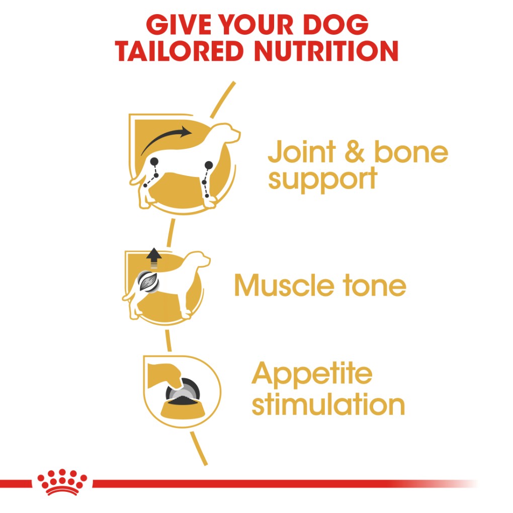 Royal Canin Dachshund Pouches - RSPCA VIC