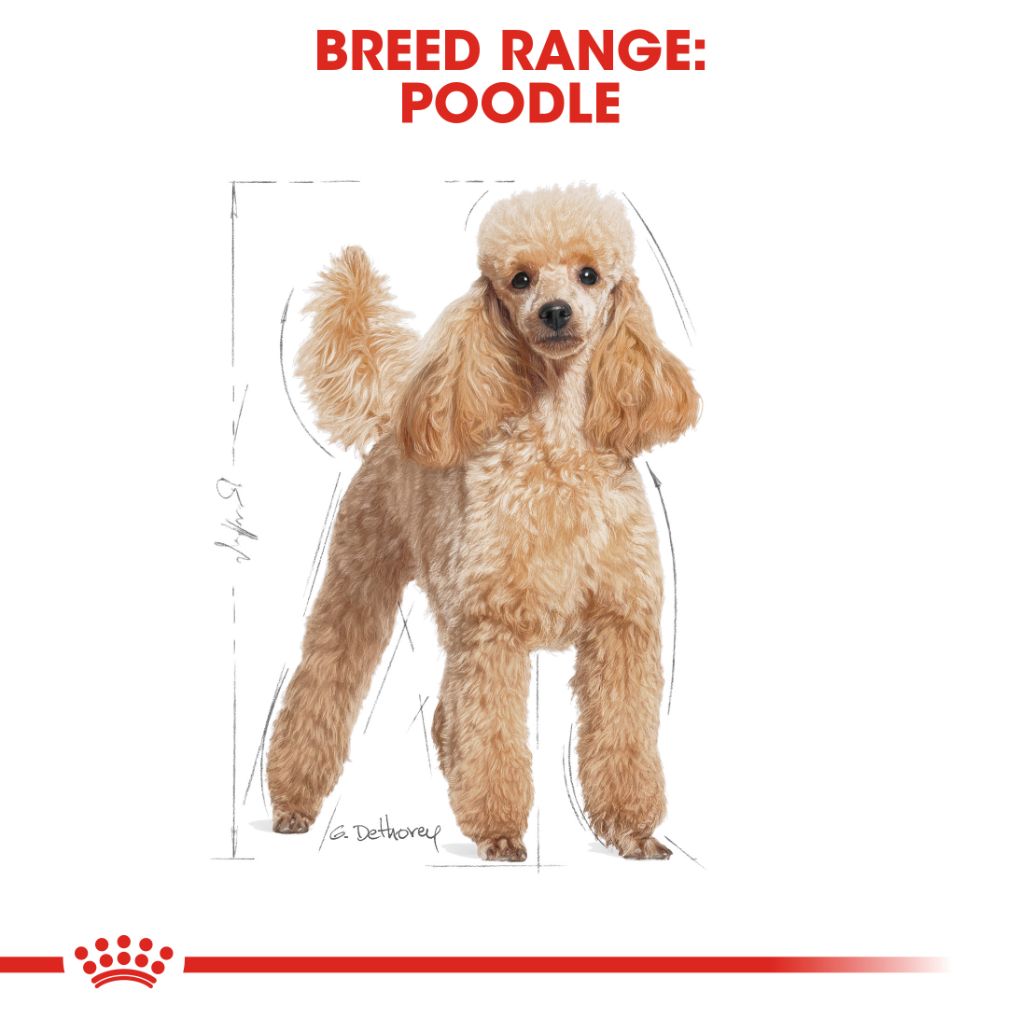 Royal Canin Poodle Pouches - RSPCA VIC
