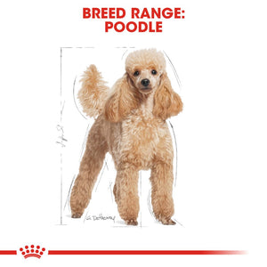 Royal Canin Poodle Pouches - RSPCA VIC