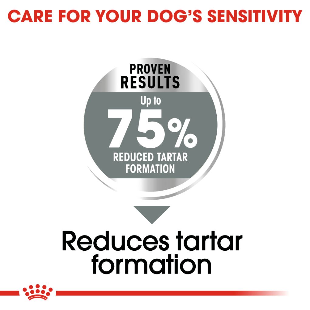 Royal Canin Maxi Dental Care 9kg - RSPCA VIC