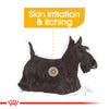 Royal Canin Mini Dermacomfort 3kg - RSPCA VIC