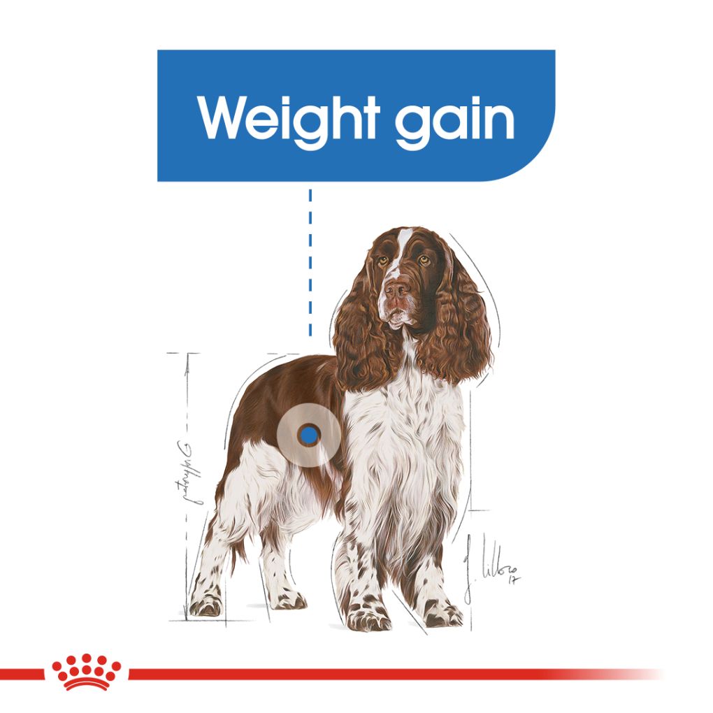 Royal Canin Medium Light Weight Care - RSPCA VIC
