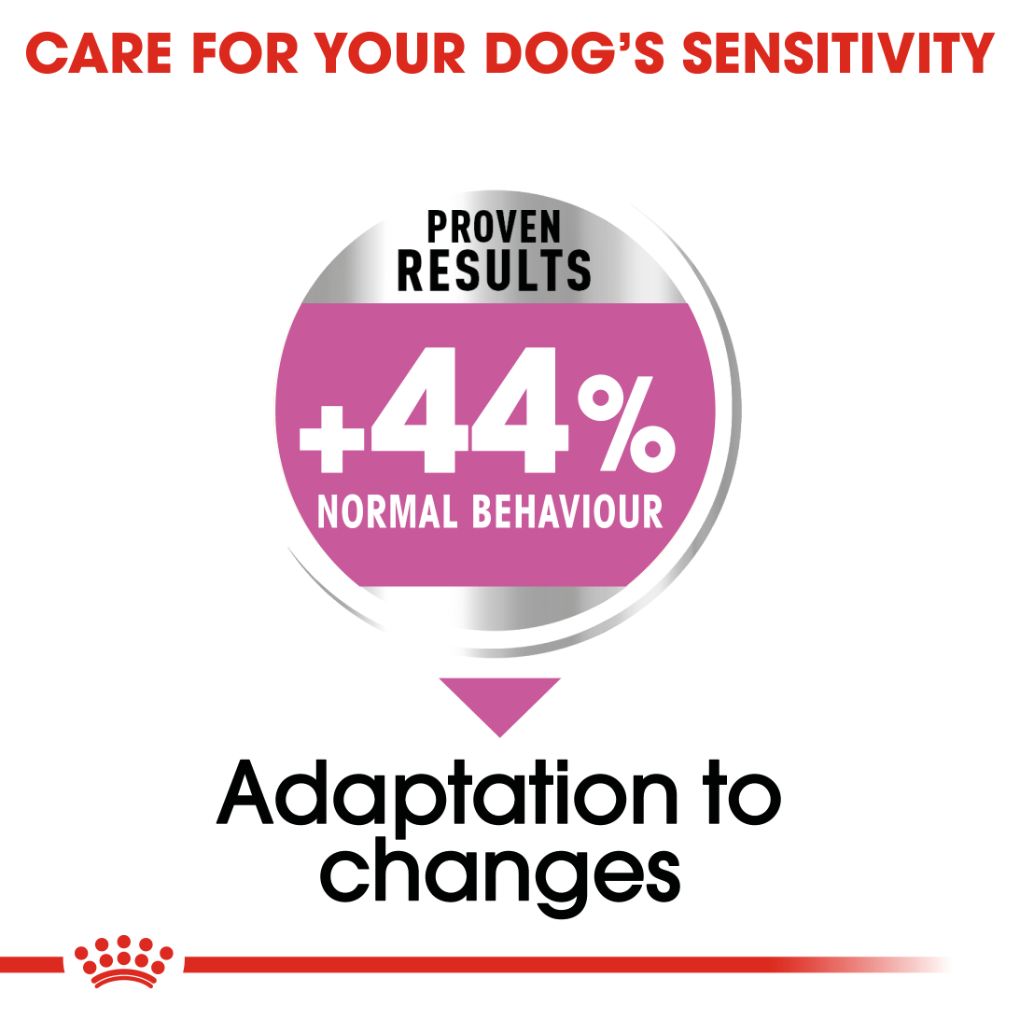 Royal Canin Medium Relax Care - RSPCA VIC