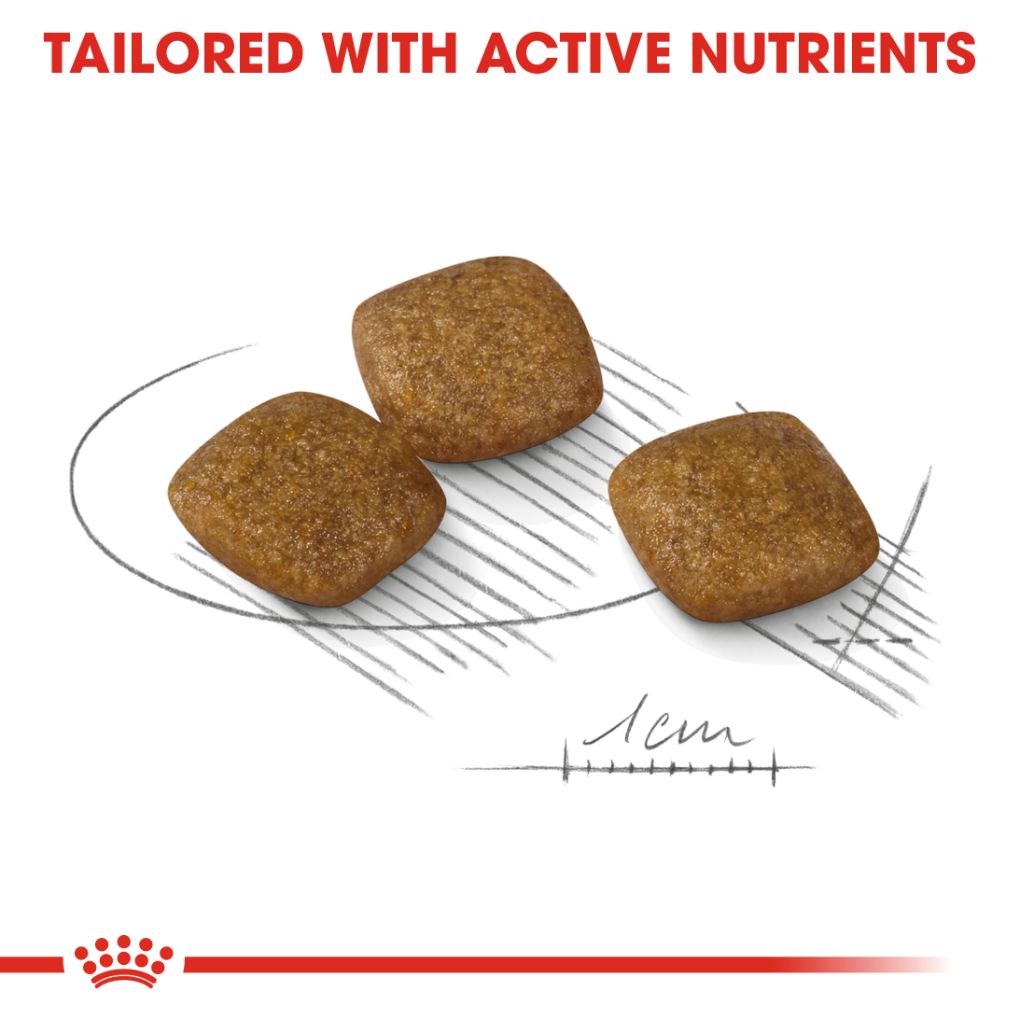 Royal Canin Mini Relax Care 3kg - RSPCA VIC