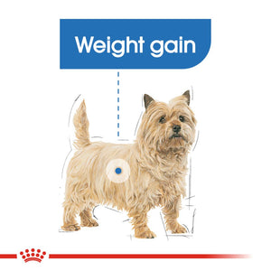 Royal Canin Light Weight Care Loaf Pouches - RSPCA VIC