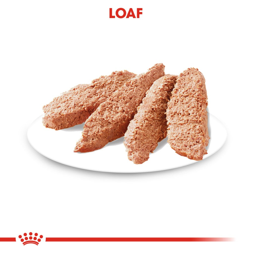 Royal Canin Dermacomfort Loaf Pouches - RSPCA VIC