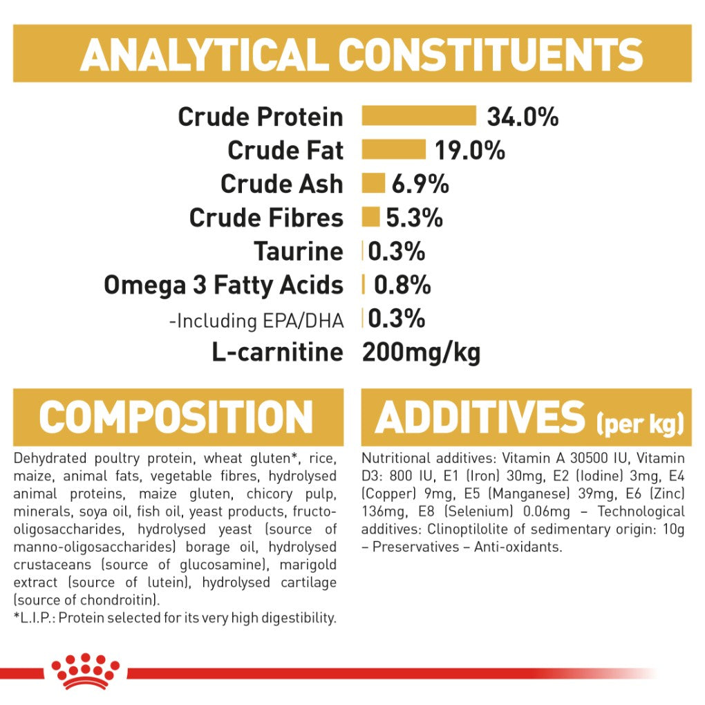 Royal Canin British Shorthair - RSPCA VIC