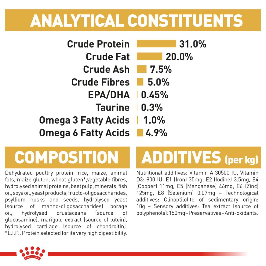 Royal Canin Maine Coon - RSPCA VIC