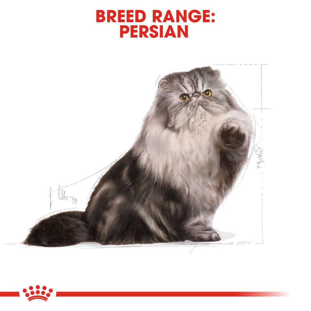 Royal Canin Persian - RSPCA VIC