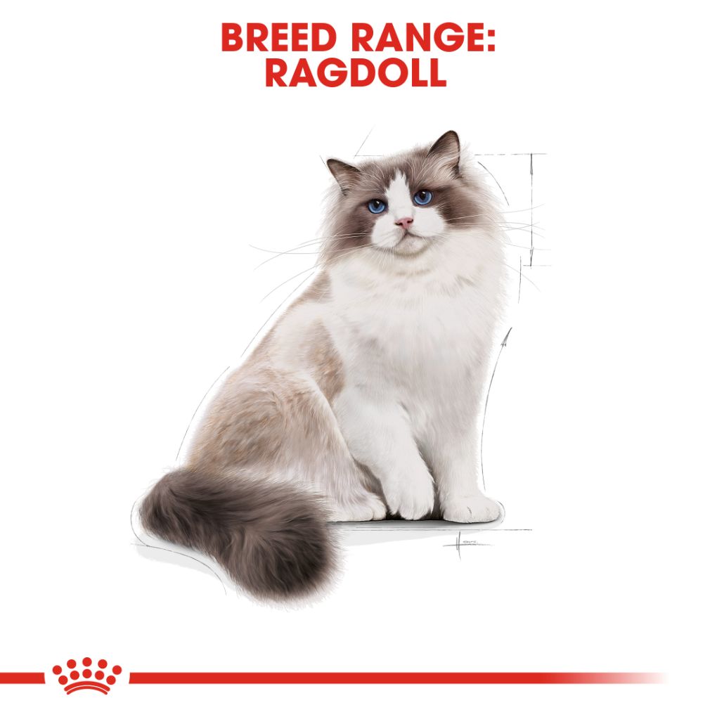 Royal Canin Ragdoll - RSPCA VIC