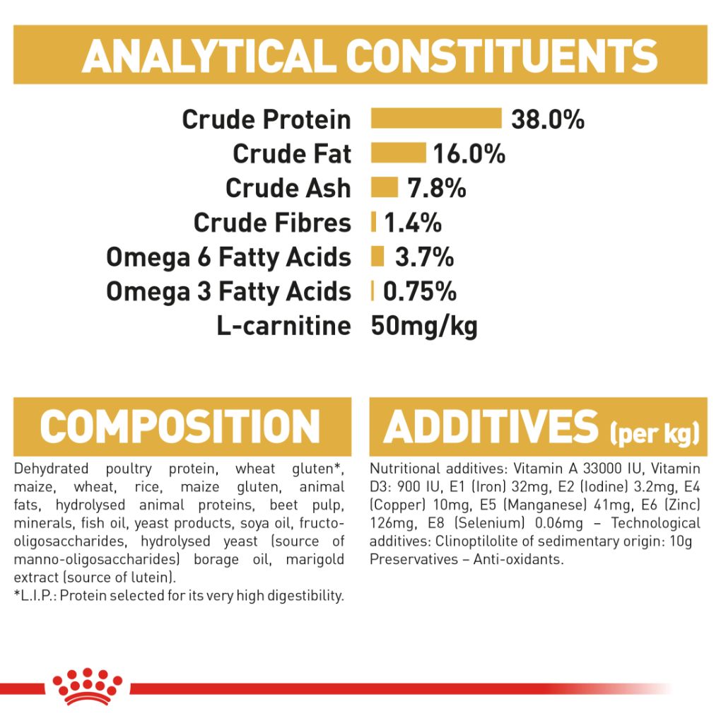 Royal Canin Siamese - RSPCA VIC