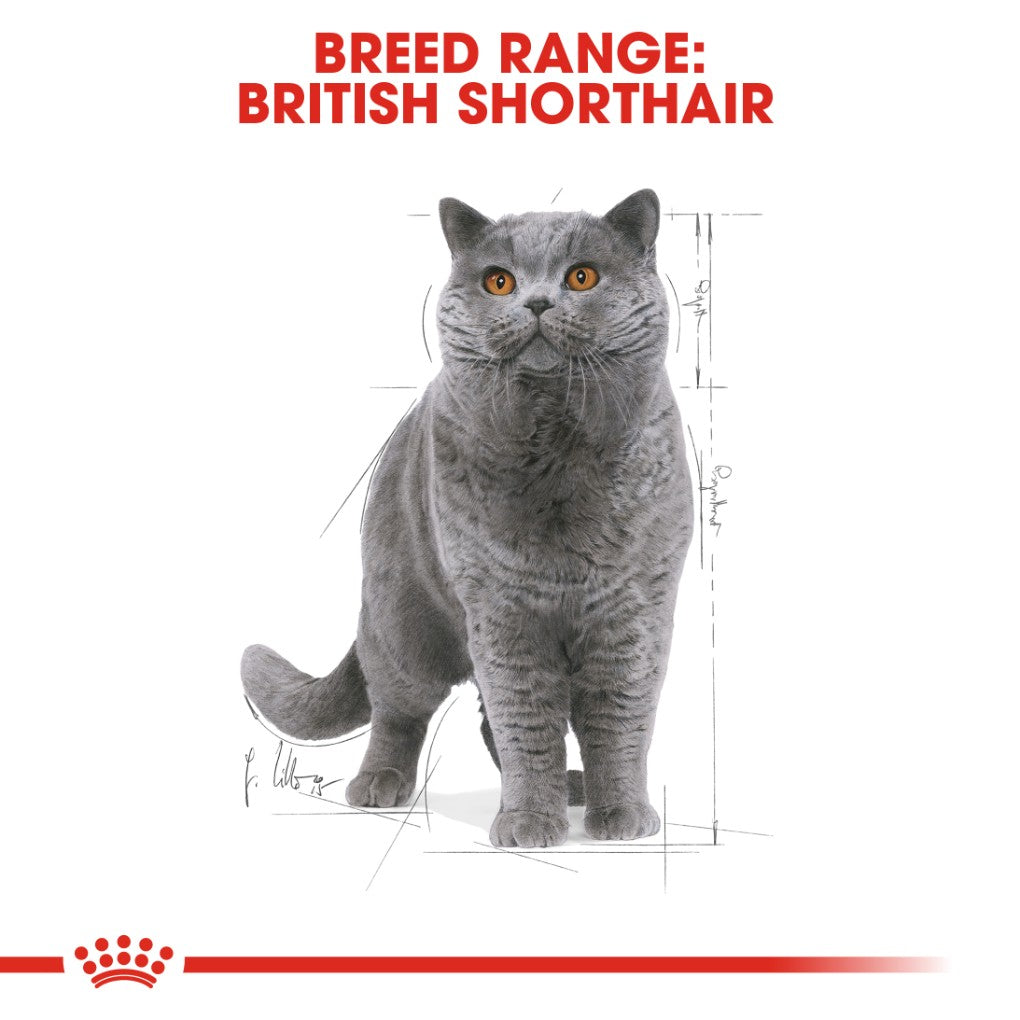 Royal Canin British Shorthair Gravy Pouches - RSPCA VIC