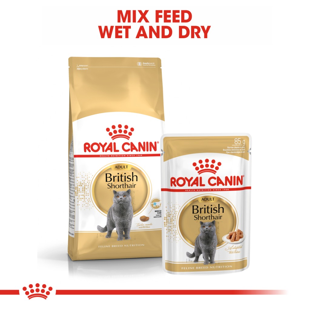 Royal Canin British Shorthair Gravy Pouches - RSPCA VIC