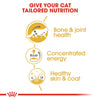 Royal Canin Maine Coon Gravy Pouches - RSPCA VIC