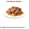 Royal Canin Ageing 12+ Gravy Pouches - RSPCA VIC