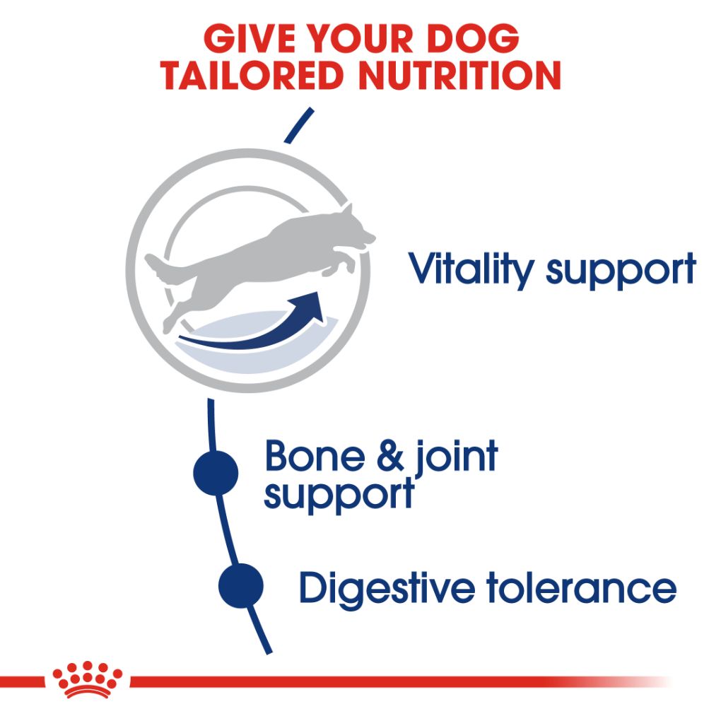 Royal Canin Maxi Adult 5+ 15kg - RSPCA VIC