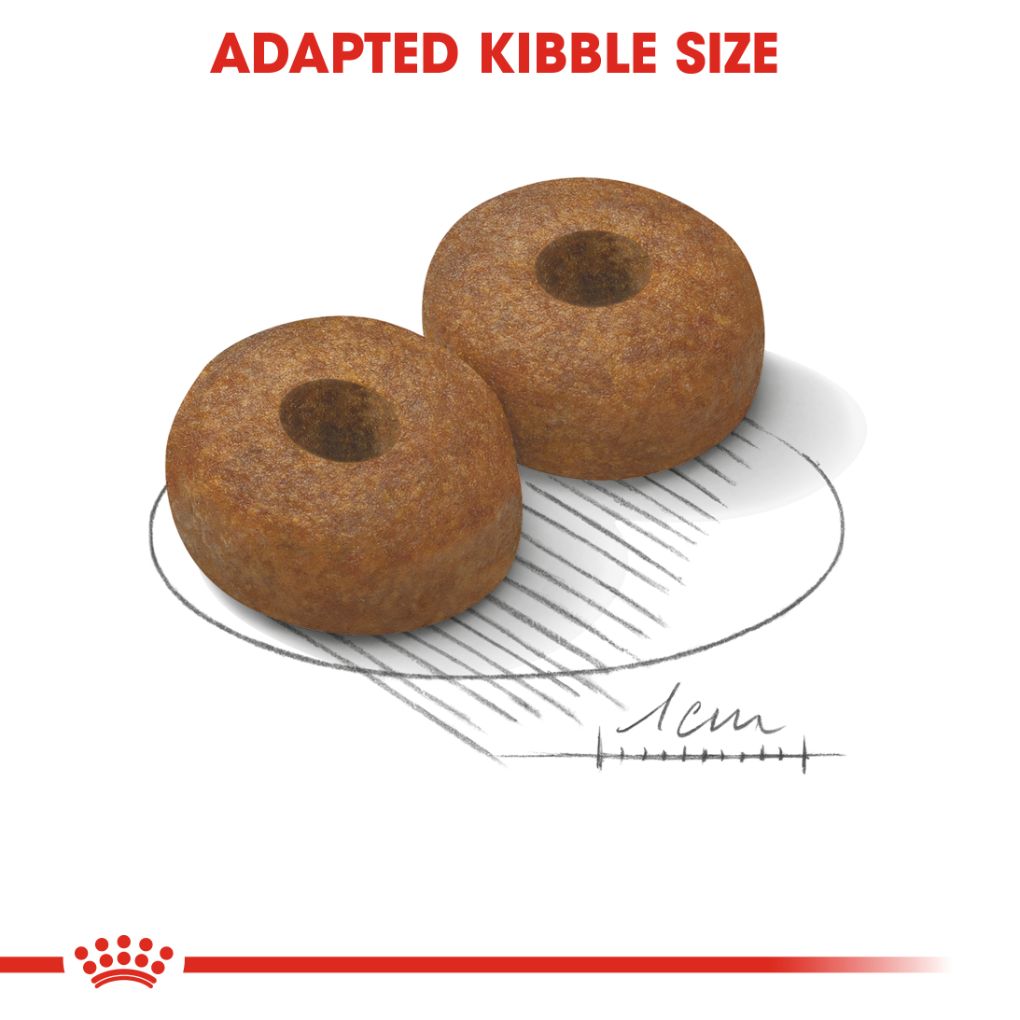 Royal Canin Maxi Ageing 8+ 15kg - RSPCA VIC