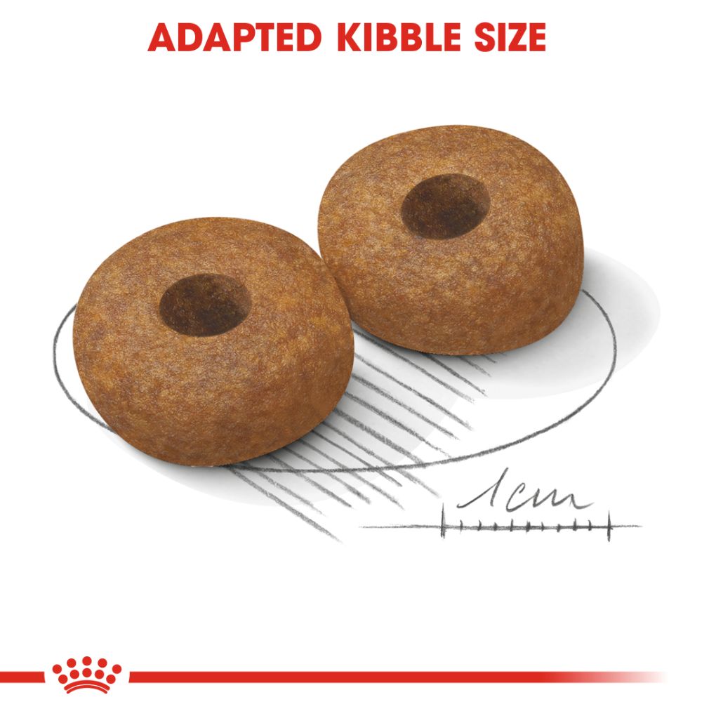 Royal Canin Medium Ageing 10+ 15kg - RSPCA VIC