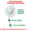 Royal Canin Mini Ageing 12+ 85g x12 - RSPCA VIC