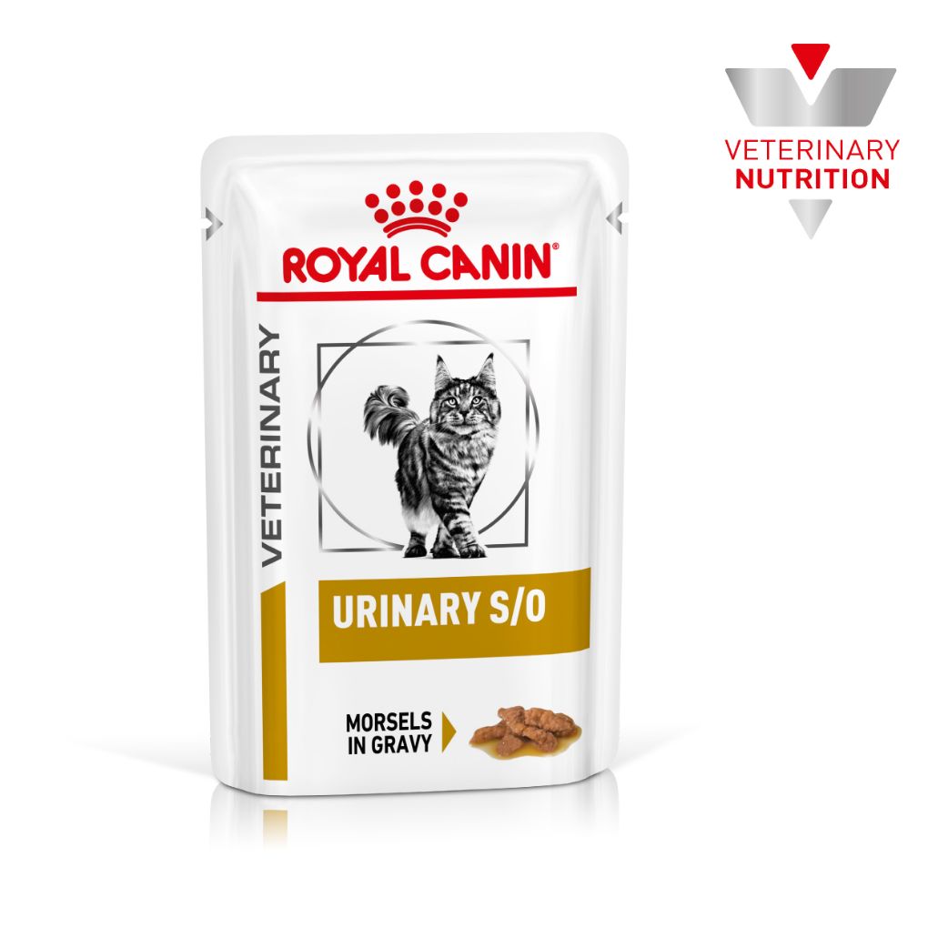 Royal Canin Veterinary Diet Urinary S O Pouches RSPCA VIC