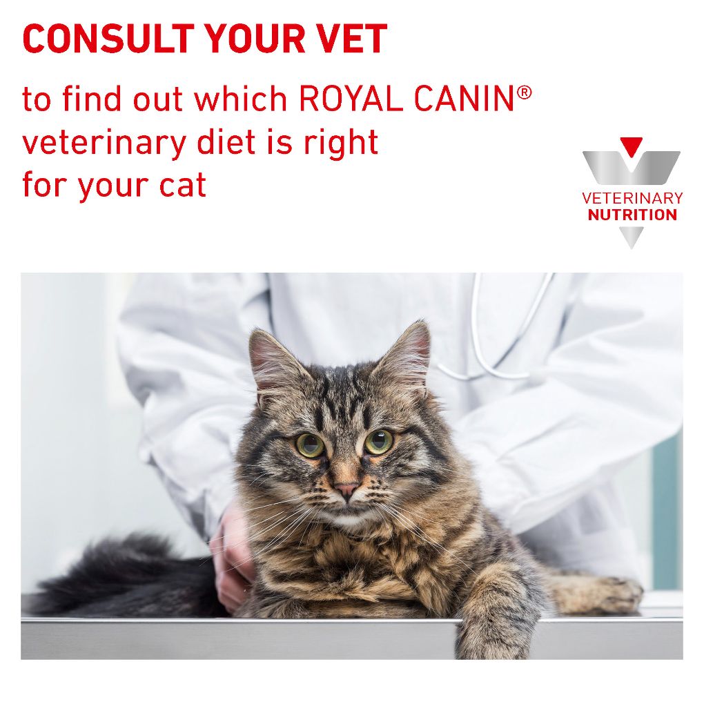 Royal canin veterinary diet sales urinary feline cat treats